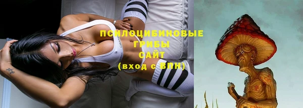 винт Абаза