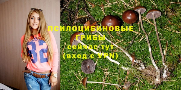 винт Абаза