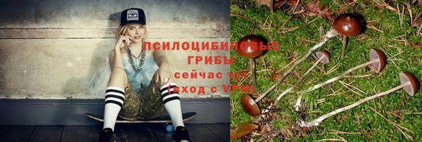винт Абаза