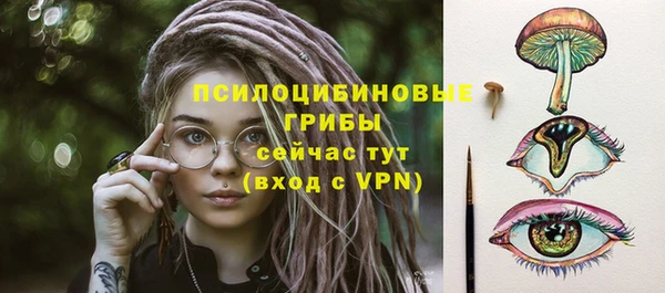 винт Абаза